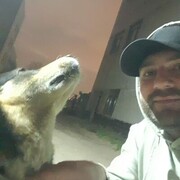 ���������� ������, ���� ������� �����, 30 ���, ������������ ��� ������, ����� � ���������, c�������� ���������, ���������