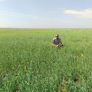 ���������� ������, ���� ������� �������, 38 ���, ������������ ��� c�������� ���������, ���������