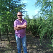 ���������� ����������, ���� ������� Hay, 57 ���, ������������ ��� ������, ����� � ���������, c�������� ���������