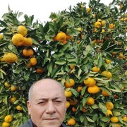  ,   , 53 ,   ,   