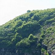 ���������� ������, ���� ������� Tagirich, 44 ����, ������������ 