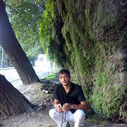  ,   Armen, 40 ,   
