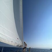 ���������� �����-���������, ���� ������� ��, 47 ���, ������������ ��� ����� � ���������, c�������� ���������