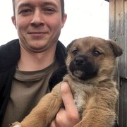 ���������� ����������, ���� ������� ��������, 33 ����, ������������ ��� ������, ����� � ���������