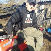  ,   Lion, 31 ,   