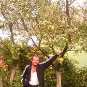  ,   , 46 ,   ,   , c , 