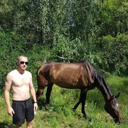 ���������� ����, ���� ������� ������, 36 ���, ������������ ��� ������, ����� � ���������, c�������� ���������