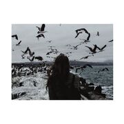 ���������� �����, ���