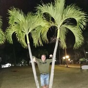  ,   , 41 ,   ,   