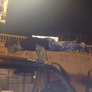  ,   Gio, 31 ,  