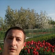  -,  , 44