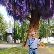 ���������� ����, ���� ������� ��������, 70 ���, ������������ ��� ����� � ���������