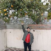 ���������� ����, ���� ������� ������, 57 ���, ������������ ��� ������