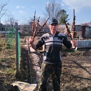 ���������� ����, ���� ������� ������, 29 ���, ������������ ��� ������, ����� � ���������, c�������� ���������