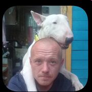 ���������� ���������, ���� ������� ������, 44 ����, ������������ ��� c�������� ���������