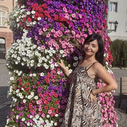 ���������� Tarnowskie Gory, ���� ������� Alina, 39 ���, ������������ ��� ������, ����� � ���������, c�������� ���������