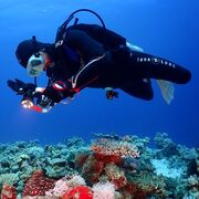 ���������� ������, ���� ������� �����, 39 ���, ������������ ��� ������, ����� � ���������, c�������� ���������