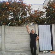  ,    1974, 50 ,   