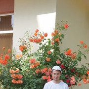   ,   , 45 ,     , c , 