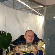 ���������� ������� ��������, ���� ������� ������, 45 ���, ������������ ��� ������, ����� � ���������, c�������� ���������