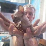  ,   , 43 ,   ,   