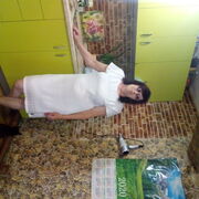 ���������� �������, ���� ������� �������, 61 ���, ������������ ��� c�������� ���������