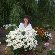 ���������� ������, ���� ������� Elenka66, 59 ���, ������������ ��� ������, ����� � ���������, c�������� ���������