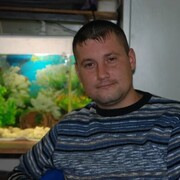  -,   , 41 ,   c 