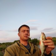 ���������� ������, ���� ������� ������, 41 ���, ������������ ��� ������, ����� � ���������, c�������� ���������