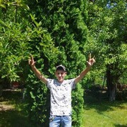 ���������� ���������, ���� ������� ������, 36 ���, ������������ ��� c�������� ���������, ���������