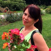  ,   , 53 ,   ,   