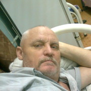  ,   Vitek, 76 ,   ,   , c 