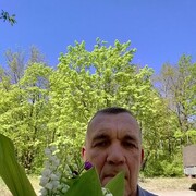  ,   , 58 ,     