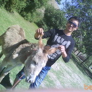  ,   Samir, 33 ,   ,   , c 