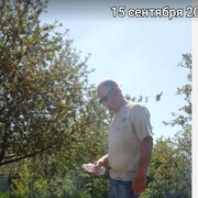 ���������� ���������, ���� ������� �������, 50 ���, ������������ ��� ������, ����� � ���������, c�������� ���������