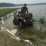 ���������� ��������, ���� ������� �����, 35 ���, ������������ ��� ������, ����� � ���������