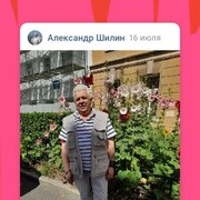  -,   Ale, 63 ,   ,   