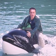 ���������� ����, ���� ������� �����, 54 ����, ������������ ��� ������, ����� � ���������, c�������� ���������