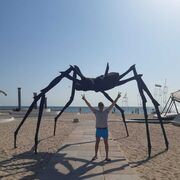 ���������� ������, ���� ������� �����, 52 ����, ������������ ��� ������, ����� � ���������