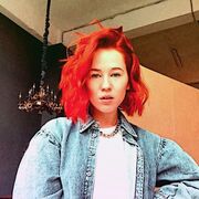 ���������� ����������, ������