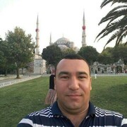  -,   , 43 ,   ,   