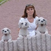  -,   , 53 ,     , c 