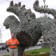 ���������� ���������, ���� ������� ������, 71 ���, ������������ ��� ������