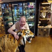 ���������� �����, ���� ������� �������, 58 ���, ������������ ��� ����� � ���������, c�������� ���������