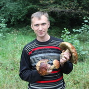 ���������� ������, ���� ������� ��������, 53 ����, ������������ ��� ������, ����� � ���������, c�������� ���������