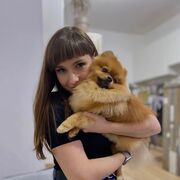 ���������� �������, ��������