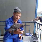 ���������� ���������, ���� ������� �����, 43 ����, ������������ ��� ������, ����� � ���������