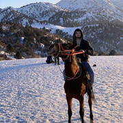 ���������� ������, ���� ������� ����, 26 ���, ������������ ��� ������, ����� � ���������, c�������� ���������, ���������