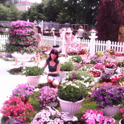  ,   Nadejda, 61 ,   ,   , c 