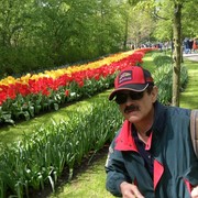 ���������� ����, ���� ������� StoneLion, 57 ���, ������������ ��� ������, ����� � ���������, c�������� ���������